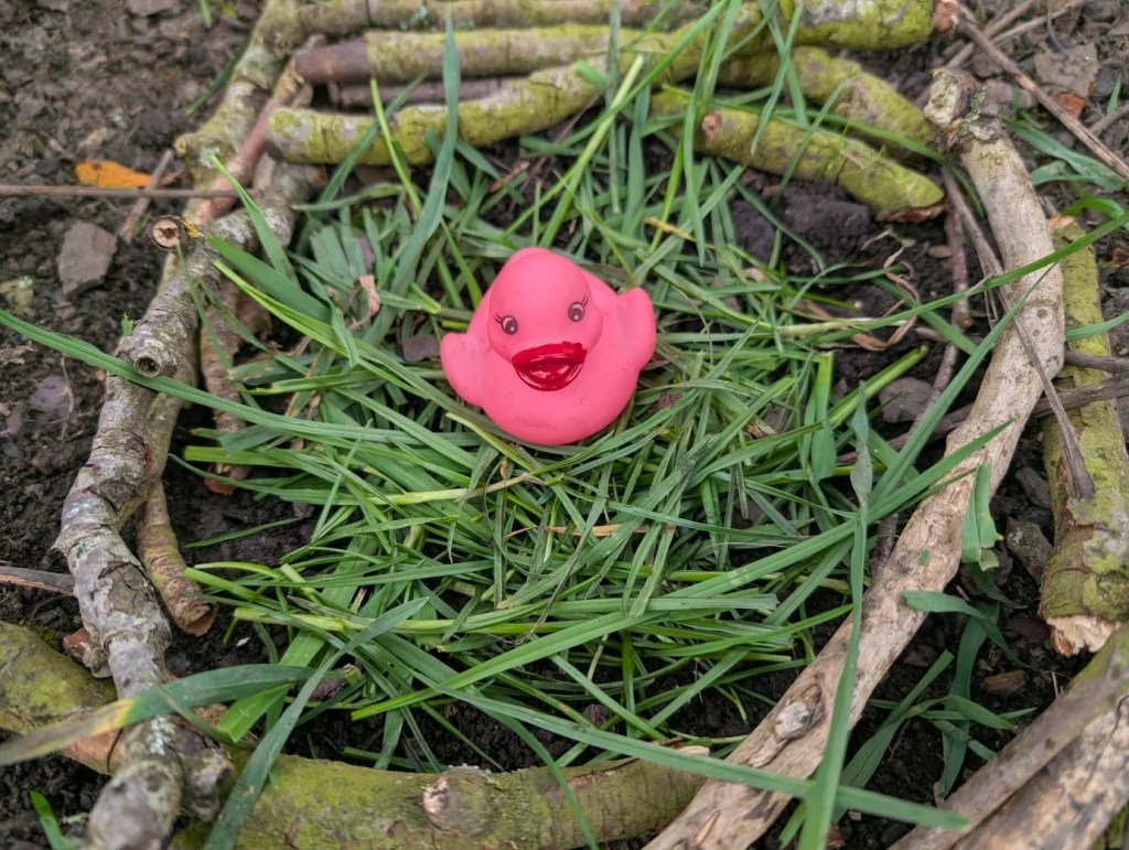 Pink rubber duck sitting in a natural ‘duck hotel’ made from sticks and grass during Easter HAF 2026 at Wood‑Sage Outdoor Education
